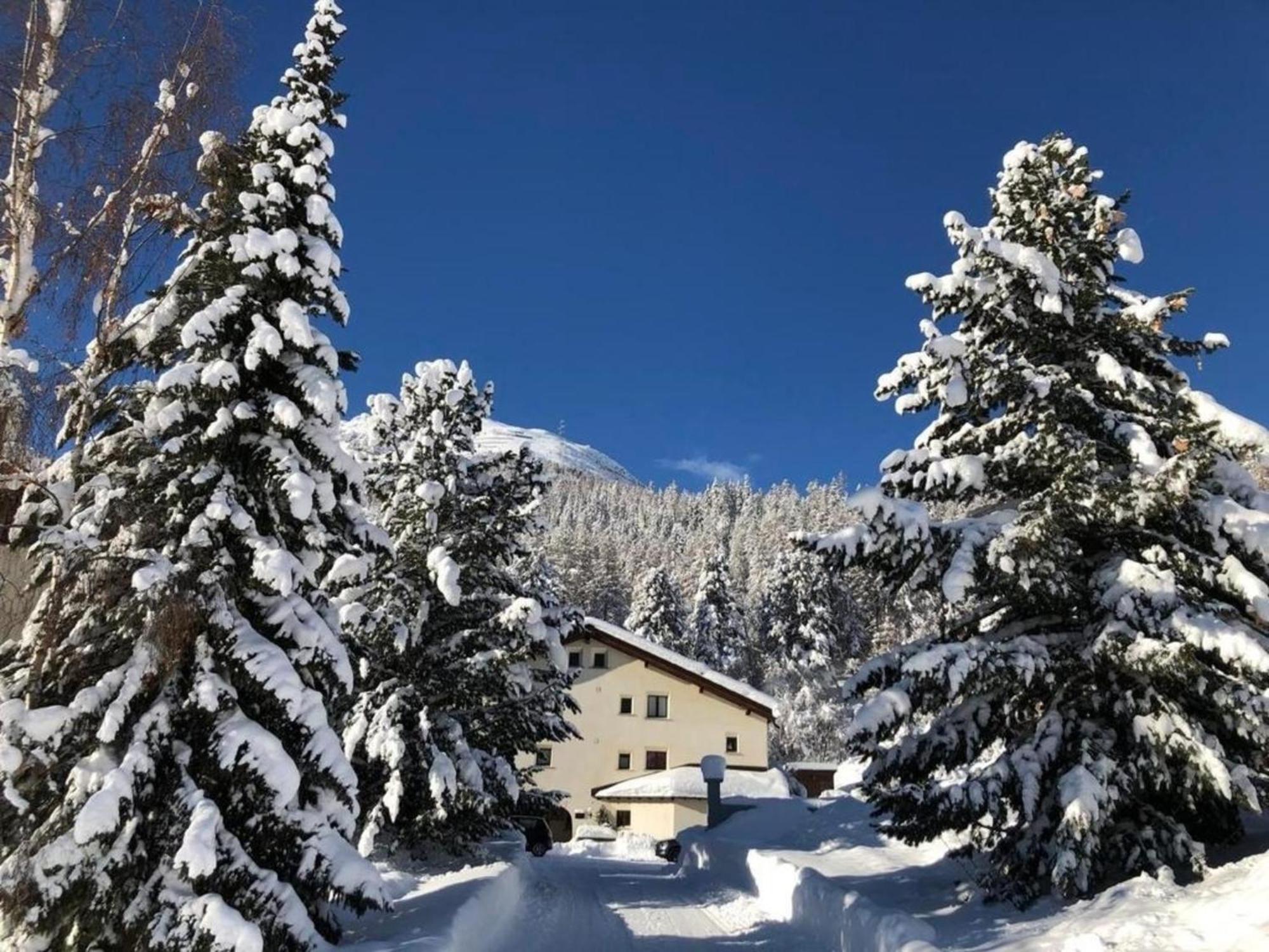 Residenz La Mora 21 "Bergbahnen Und Oev All Inklusive" Im Sommer Appartement La Punt-Chamues-ch Buitenkant foto